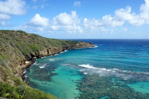 瓦胡島