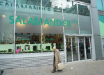 SALAMANDER圖片