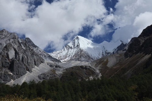 央邁勇神山